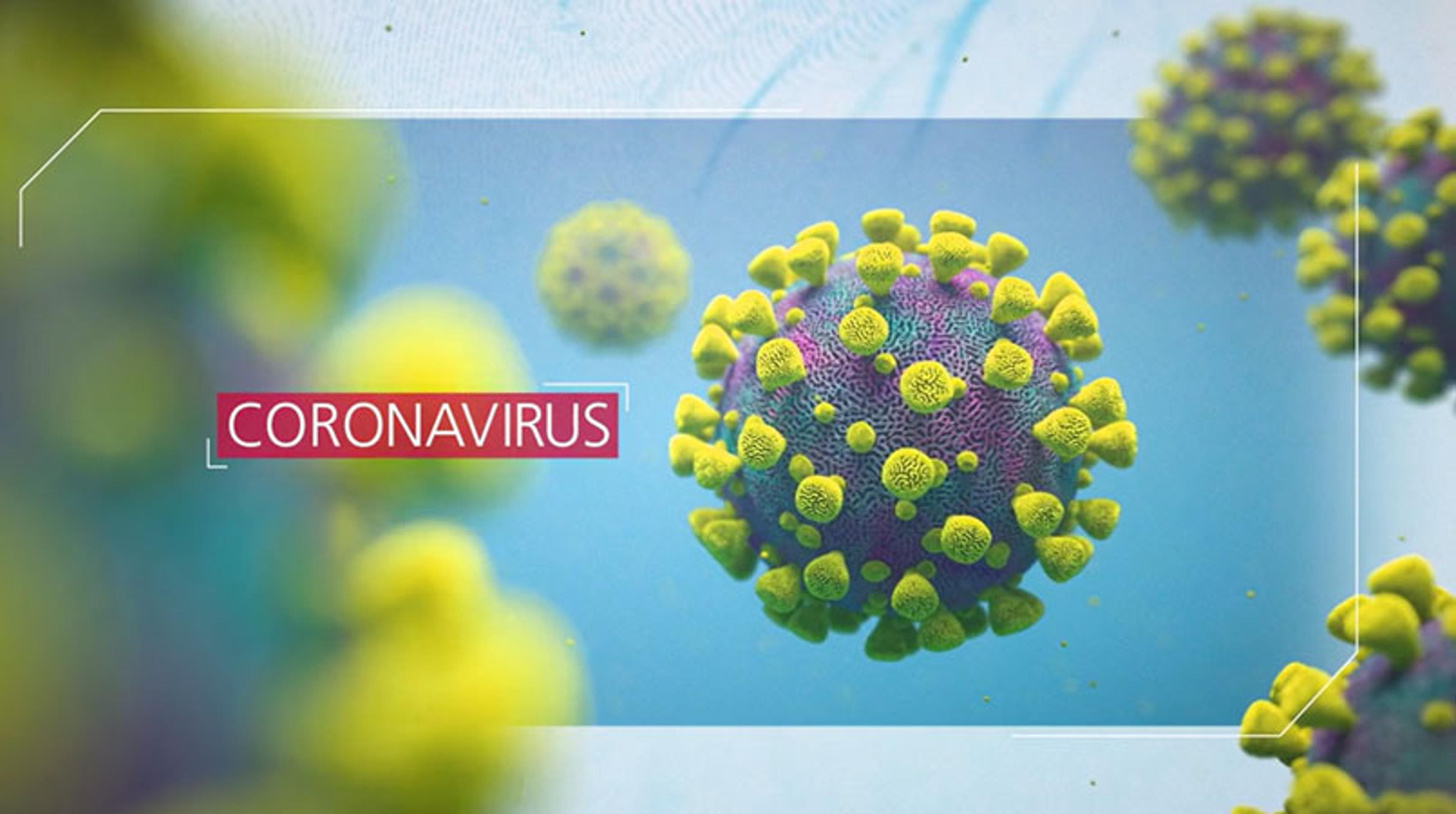 PerkinElmer New Coronavirus Nucleic Acid Detection kit PerkinElmer New Coronavirus Nucleic Acid Detection kit