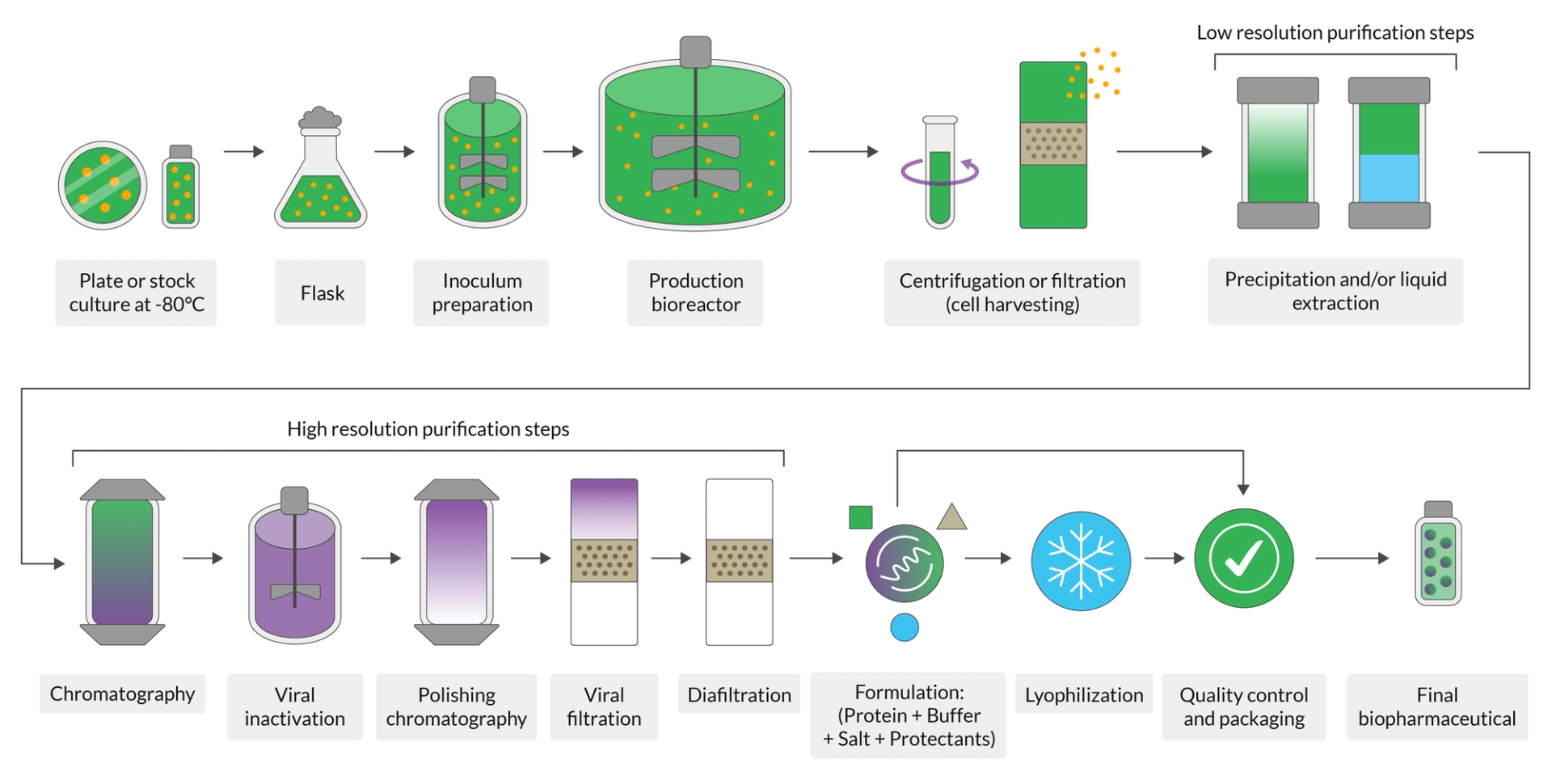 Cell culture for biologics