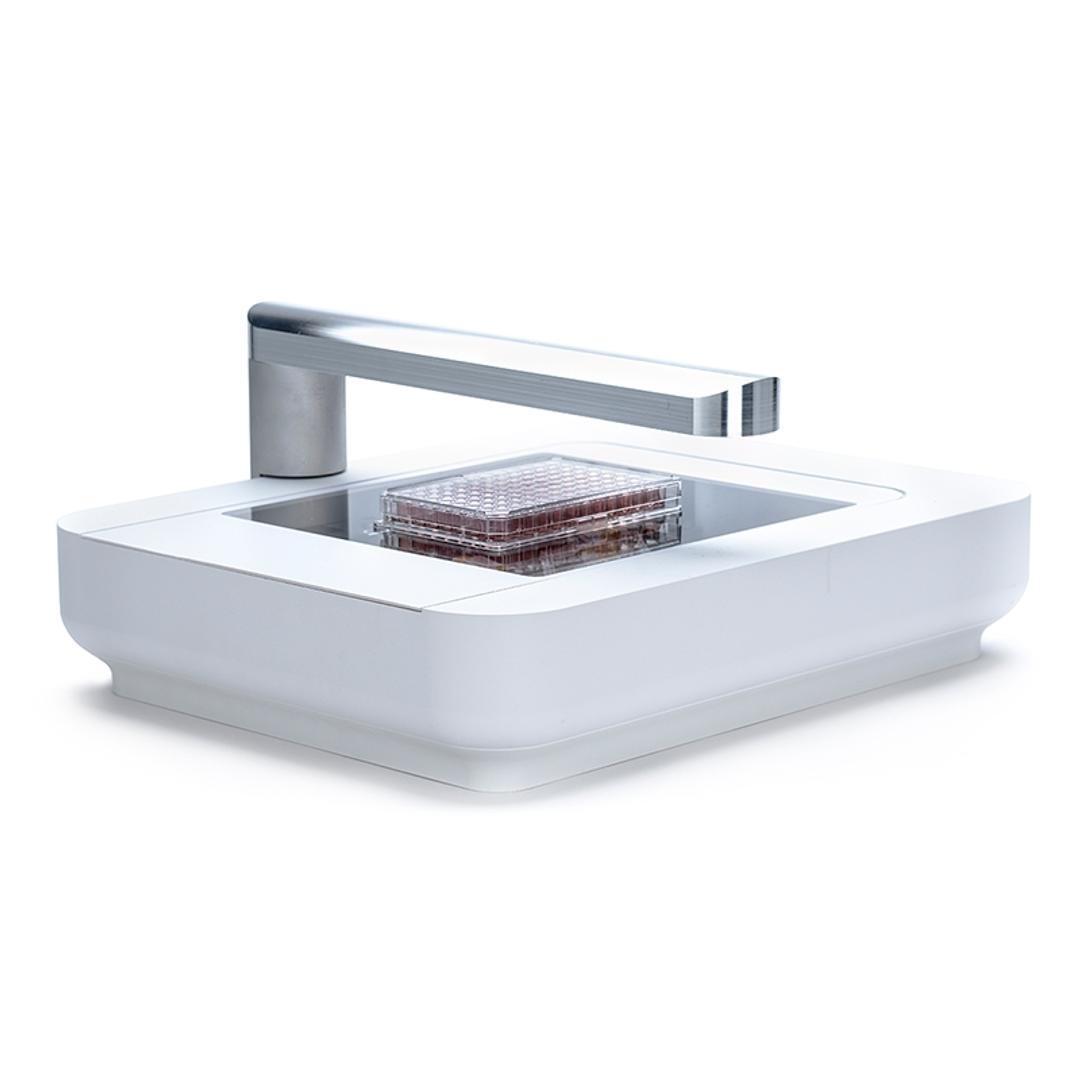 Automated full plate scanning and image stitching