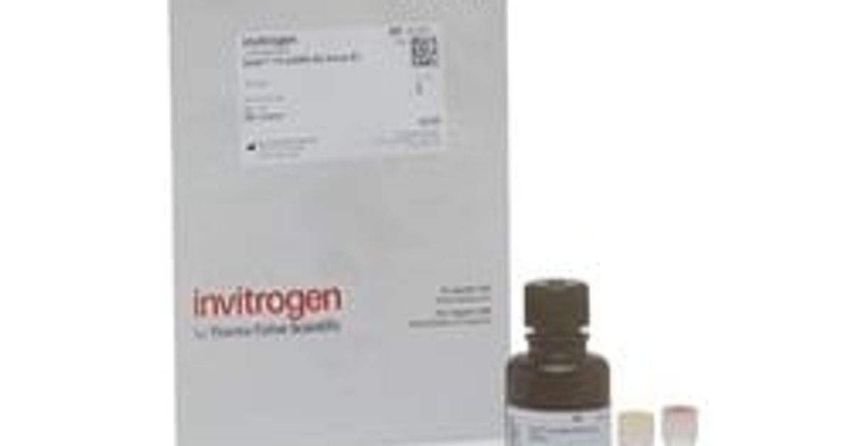 Qubit™ 1X dsDNA HS Assay Kit SelectScience