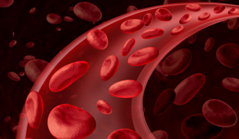 Anti-Xa assay sets new standard in anticoagulant diagnostics