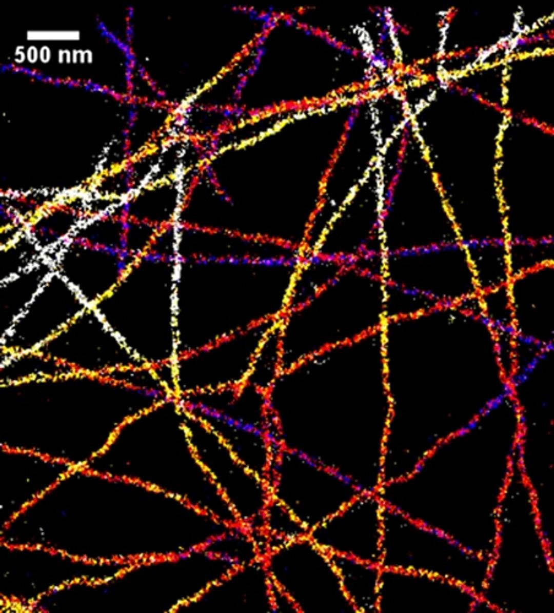 3D STORM imaging of Alexa Fluor 647 stained microtubules