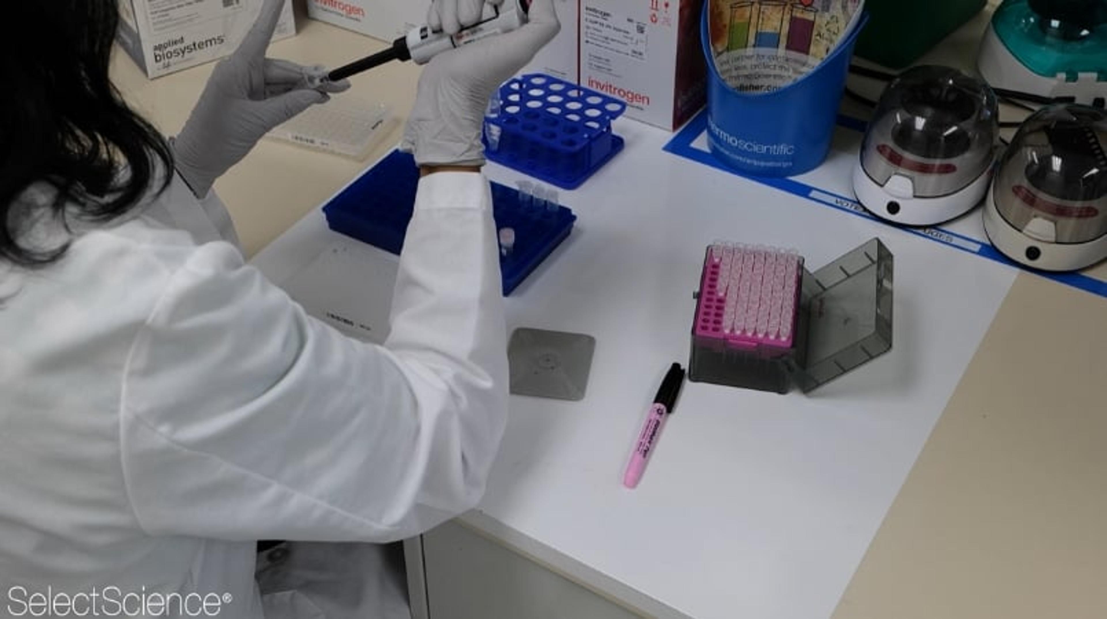 A step-by-step workflow for a knock-out experiment in iPSCs  A step-by-step workflow for a knock-out experiment in iPSCs