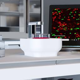 Analyze cells in their desired culture environment