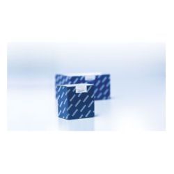 Cell and Gene Therapy Viral Vector Lysis Kit