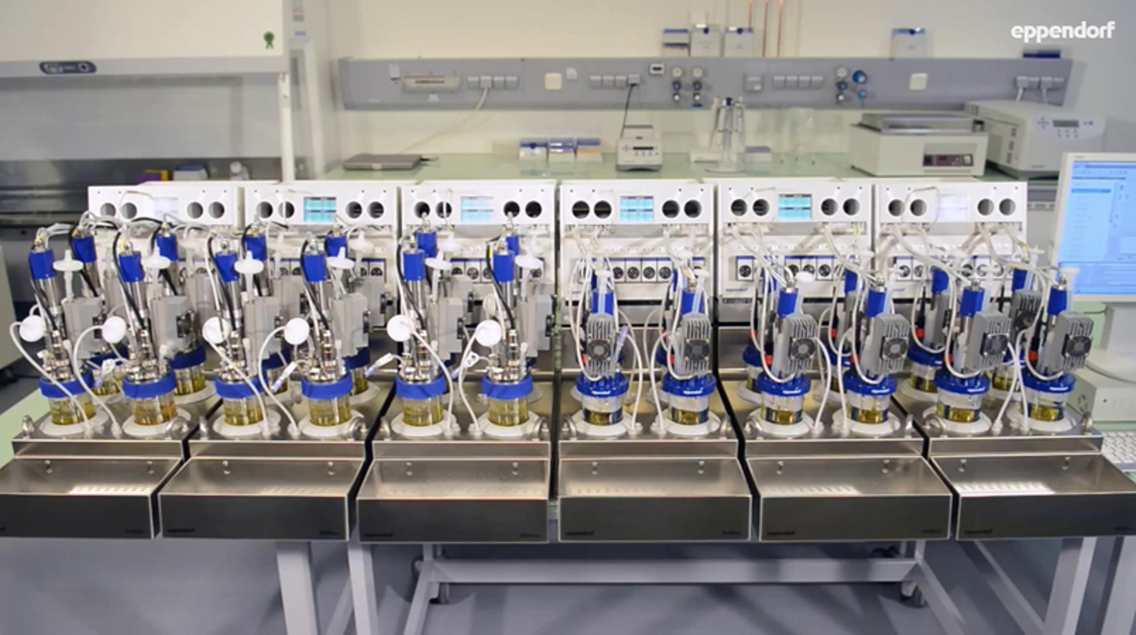 Eppendorf DASbox® Mini Bioreactor System Eppendorf DASbox® Mini Bioreactor System
