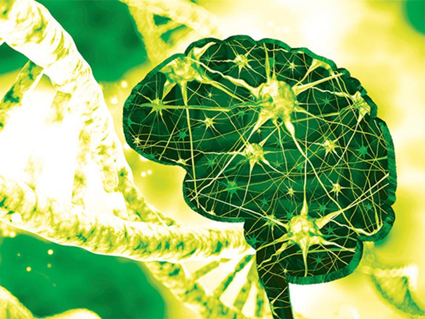 APOE genotyping recommended prior to Alzheimer’s therapy