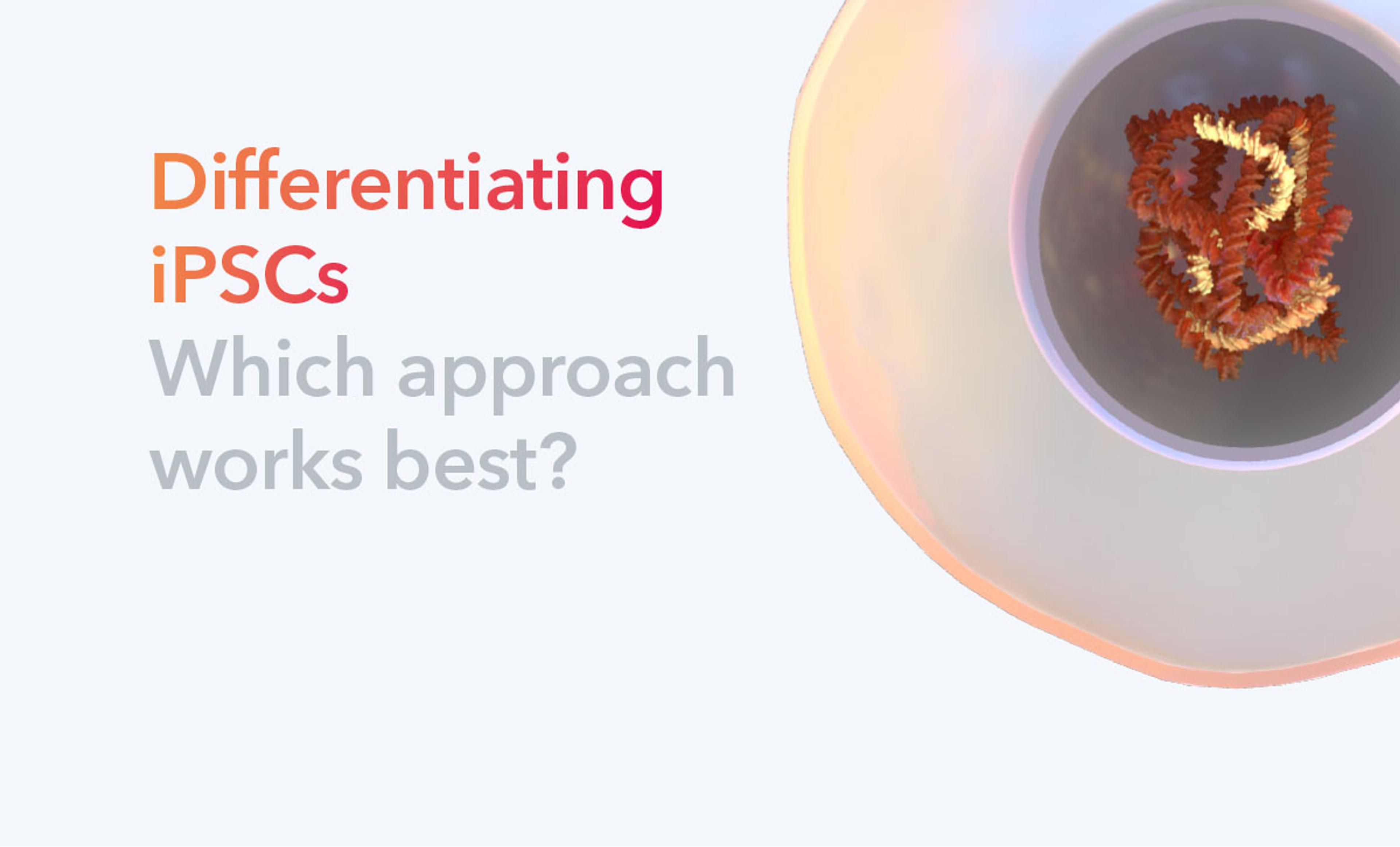 Overcome the challenges of cell differentiation and reprogramming with opti-ox™, precision reprogramming