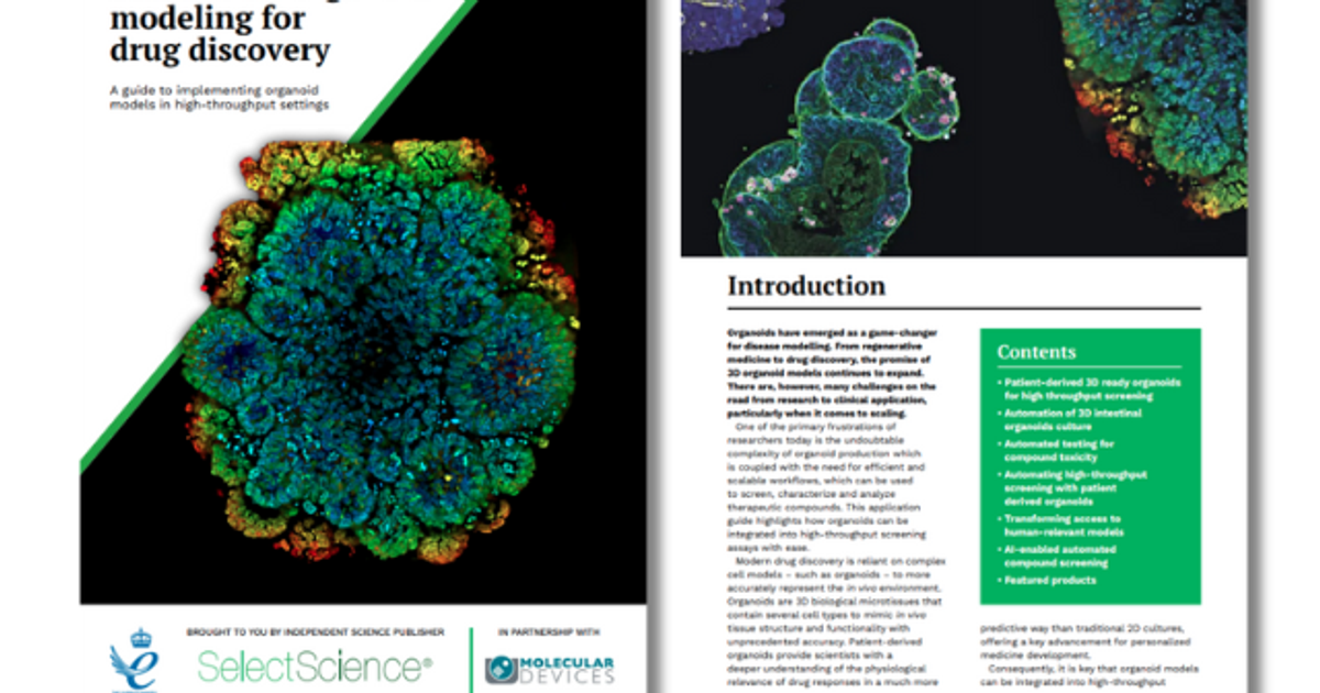 Scalable 3D organoid modeling for drug discovery - A SelectScience eBook