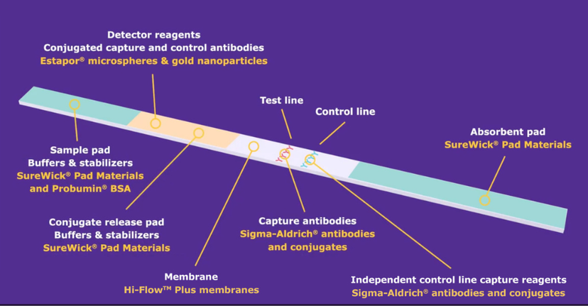 Lateral flow technology scale up strengthens pandemic preparedness