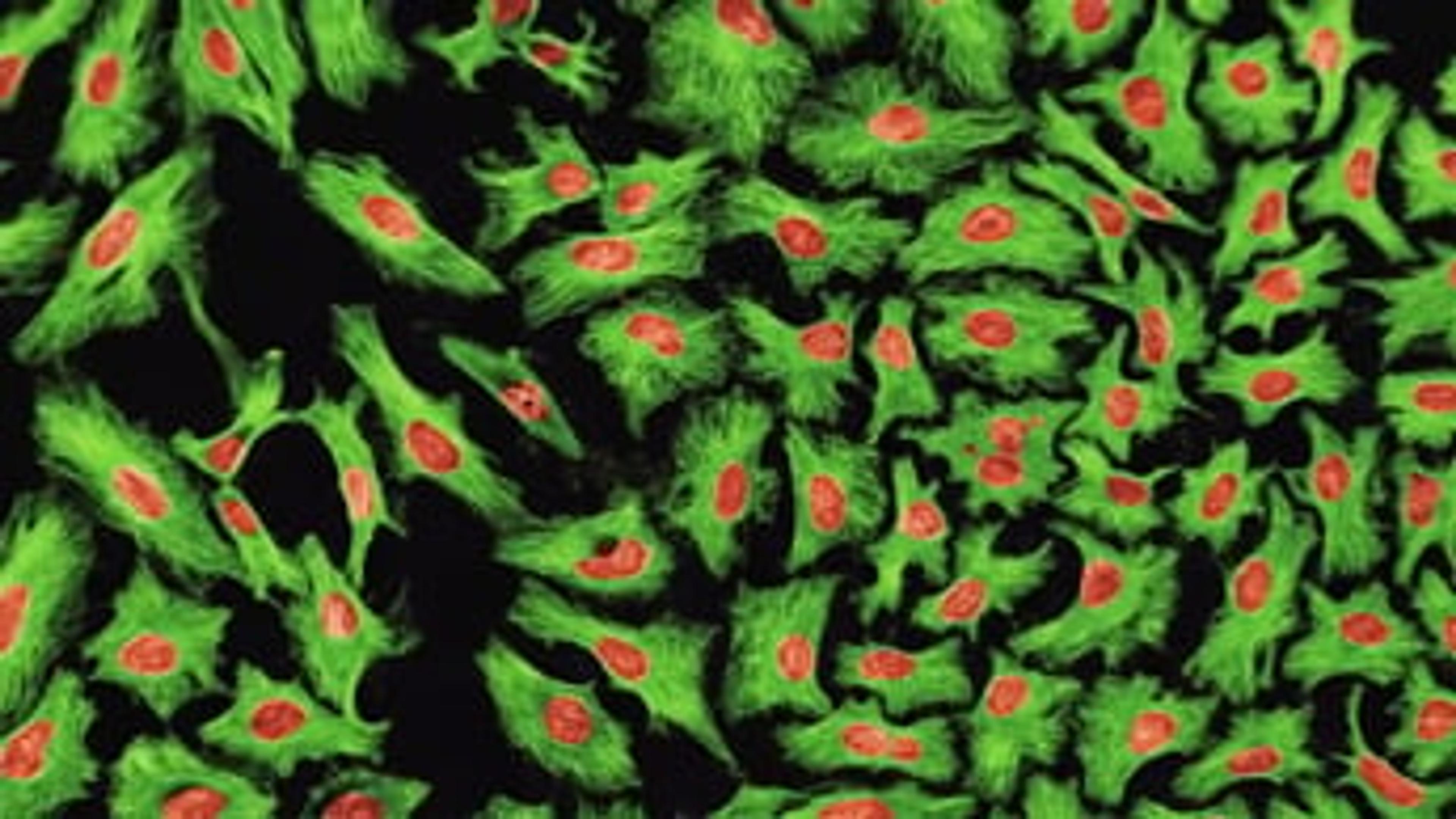 Automate and Simplify Your Cell-Based Assays Automate and Simplify Your Cell-Based Assays
