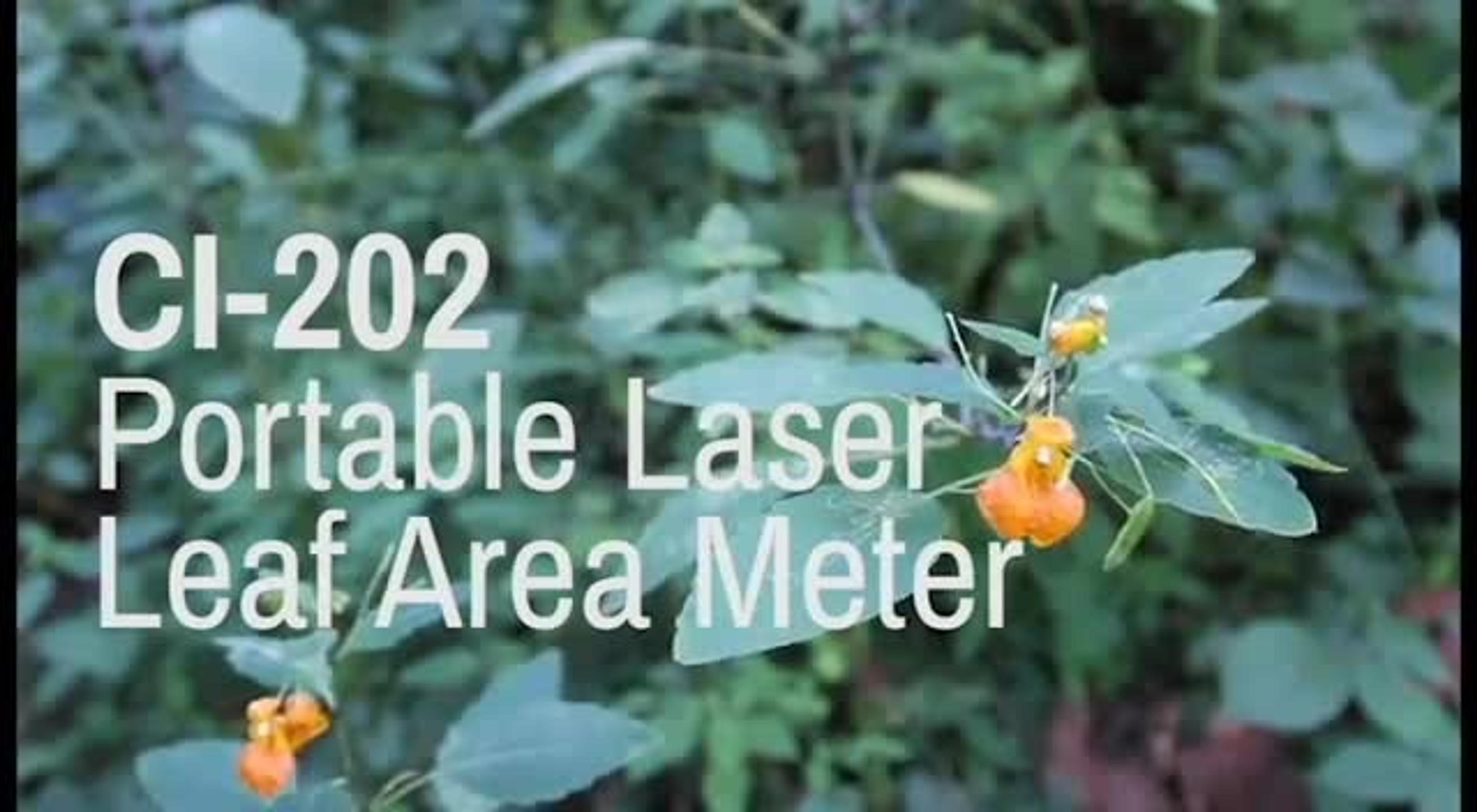 How the CI-202 Portable Laser Leaf Area Meter Works How the CI-202 Portable Laser Leaf Area Meter Works
