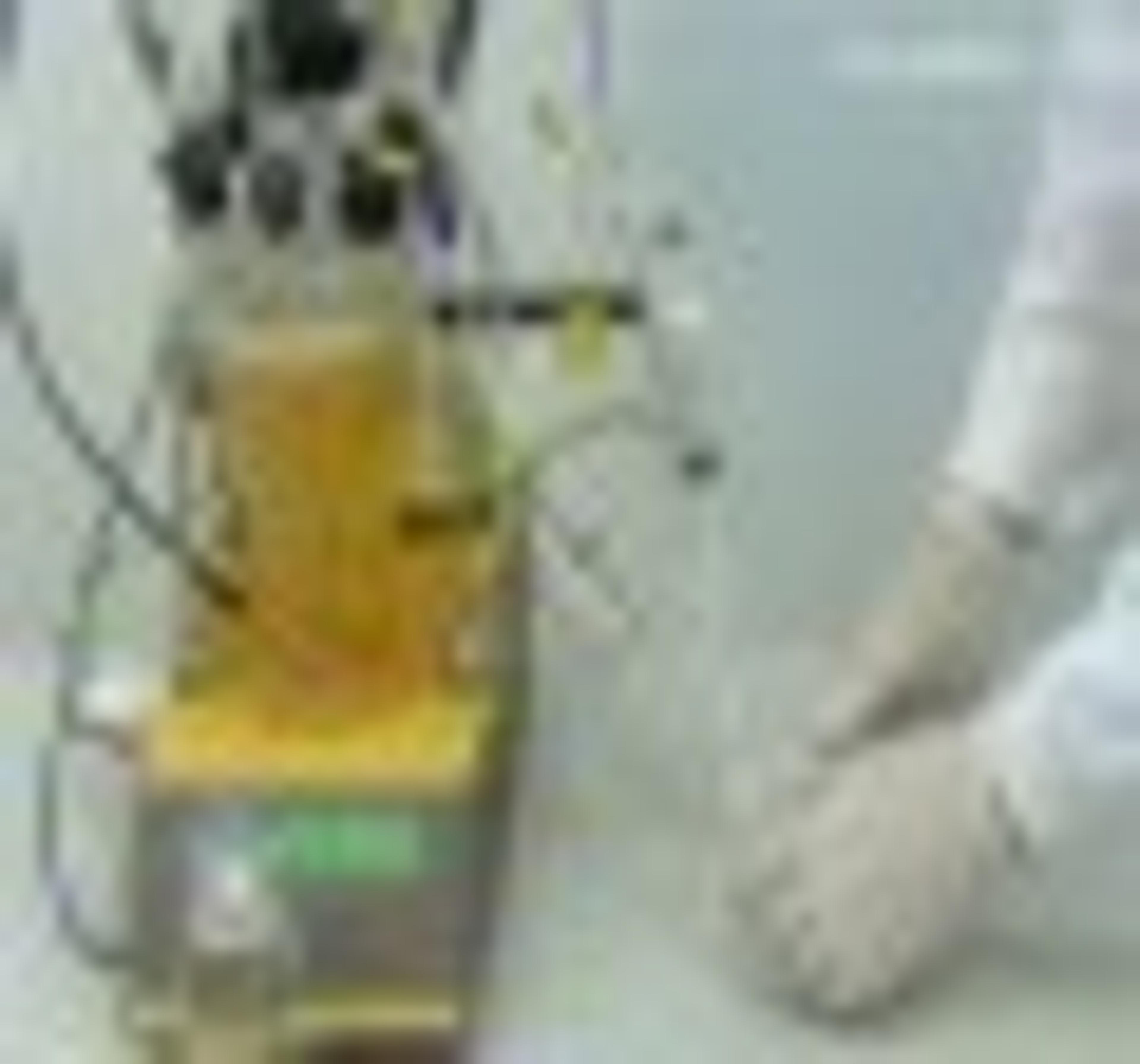 Sterile Sample Taking from Bioreactor Demonstration Sterile Sample Taking from Bioreactor Demonstration