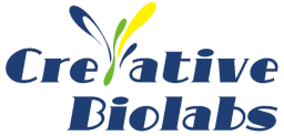 Creative Biolabs