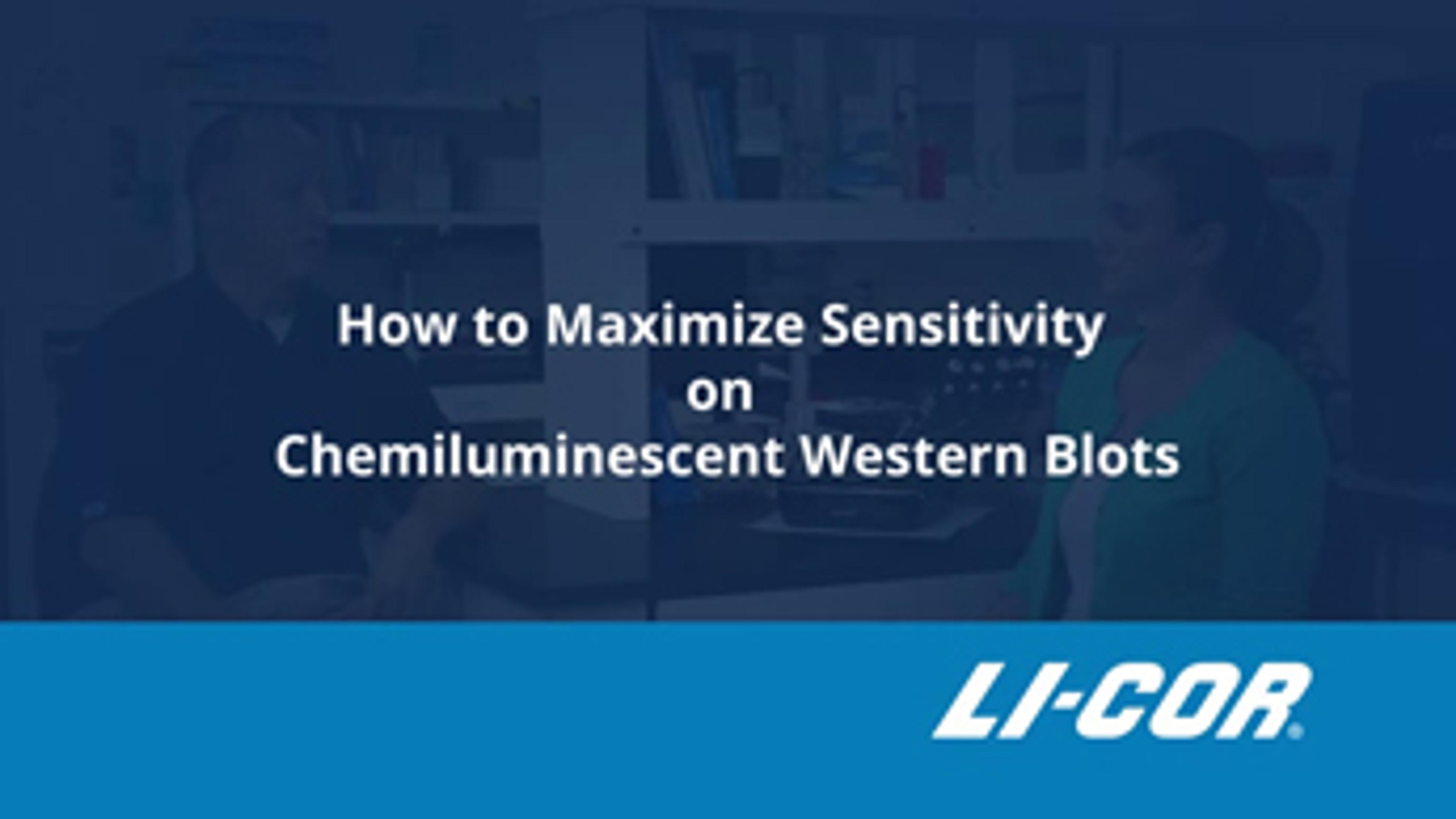 How to Maximize Sensitivity on Chemiluminescent Western Blots How to Maximize Sensitivity on Chemiluminescent Western Blots