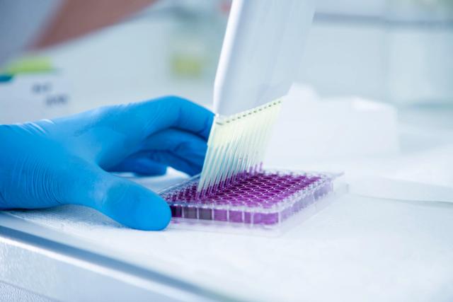 How to troubleshoot microplate assays and optimize detection