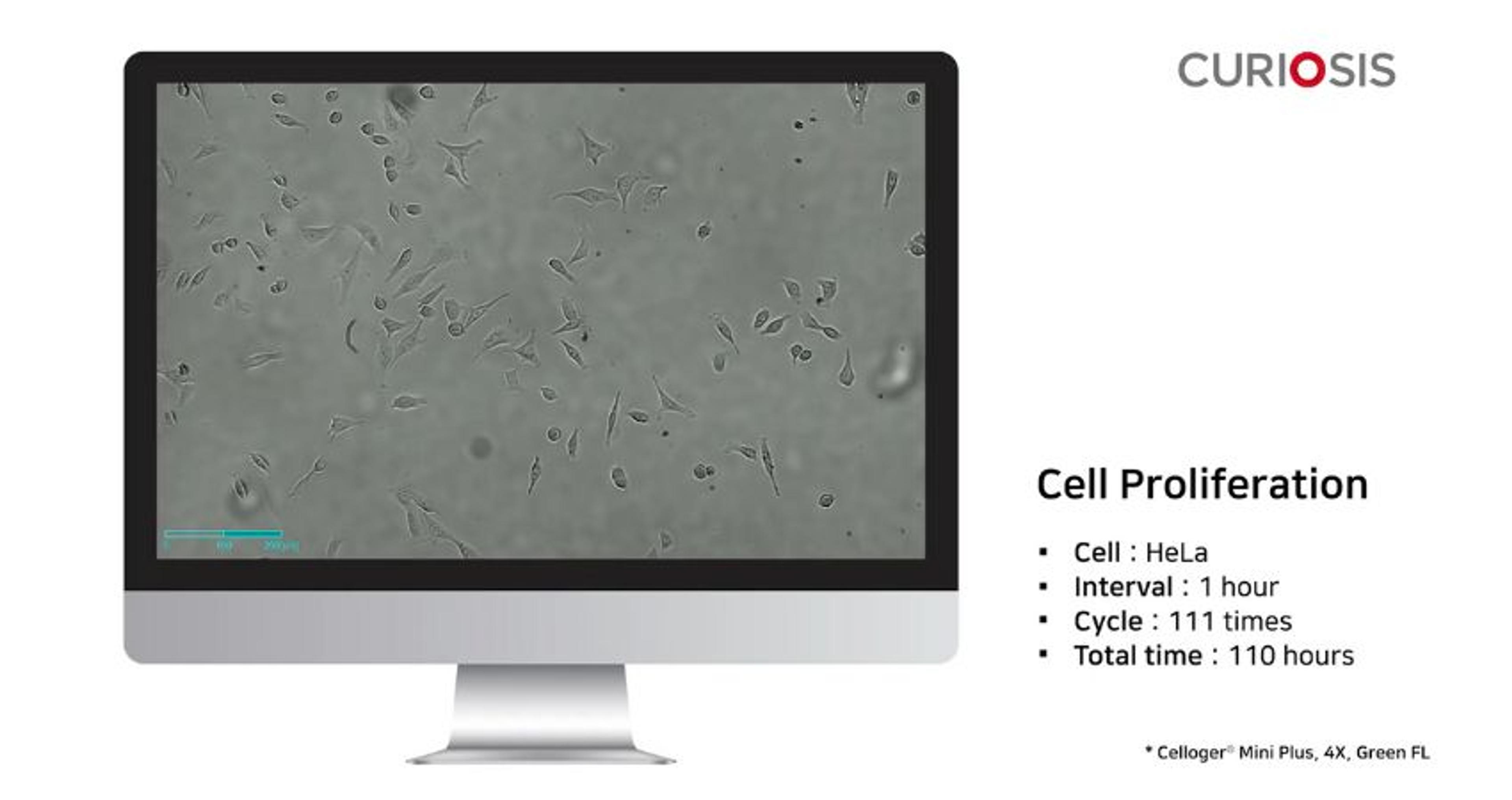 Celloger Mini Plus application: Cell proliferation Celloger Mini Plus application: Cell proliferation