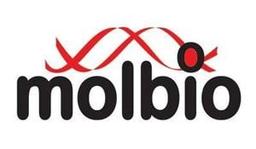 Molbio Diagnostics