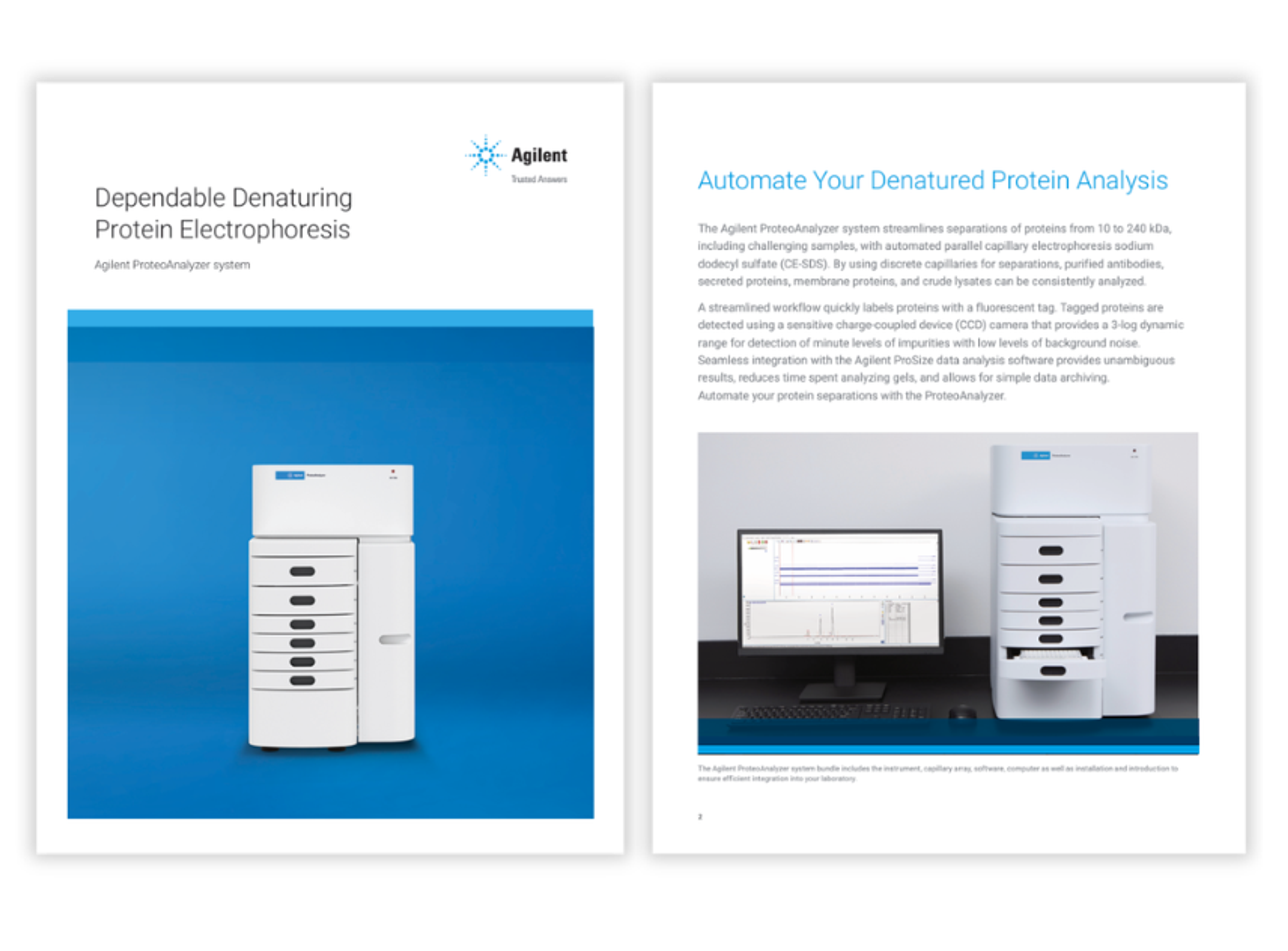 automated capillary electrophoresis-based protein separation and analysis