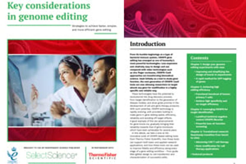 Key considerations in genome editing
