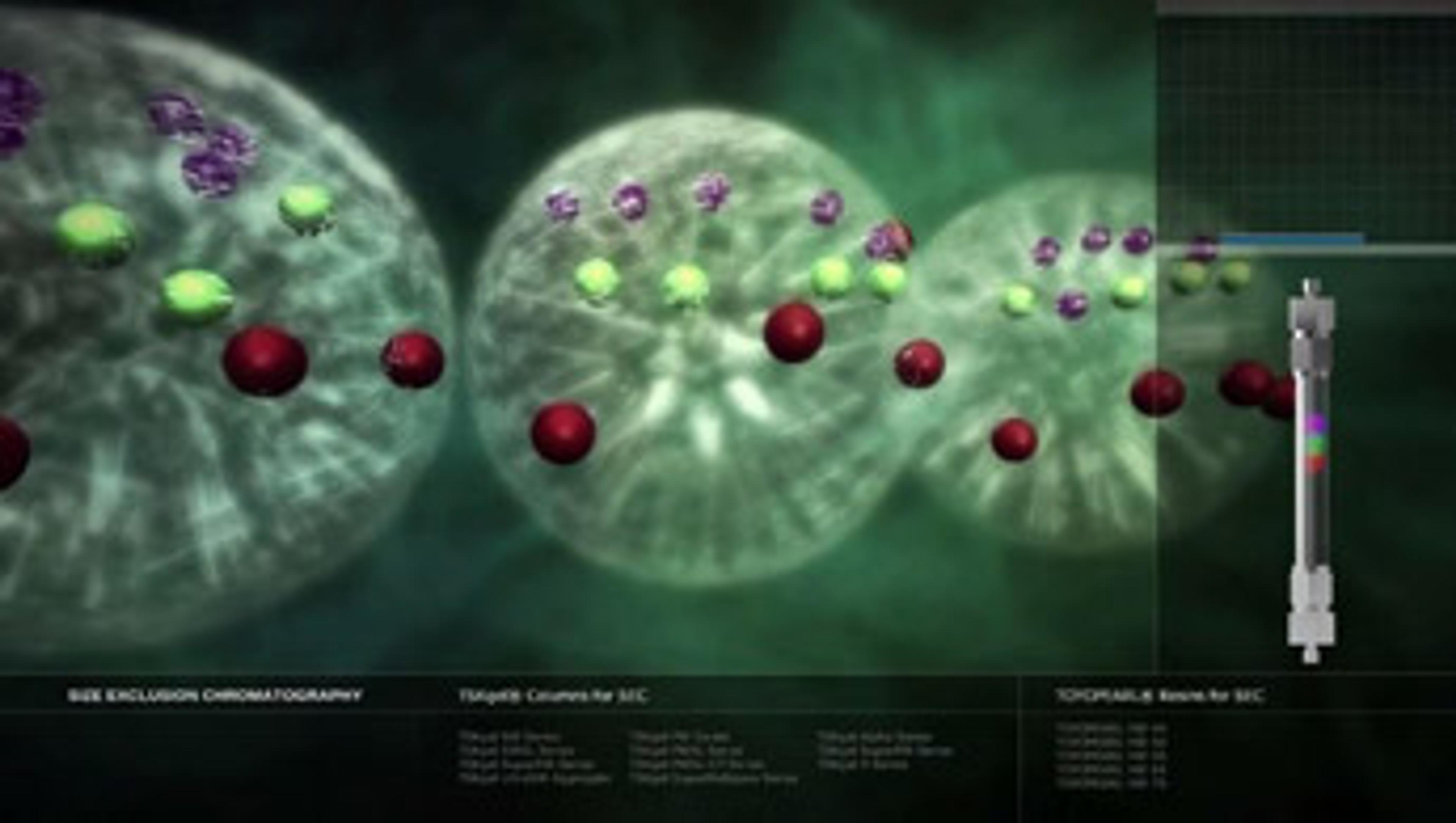 Size Exclusion Chromatography Size Exclusion Chromatography