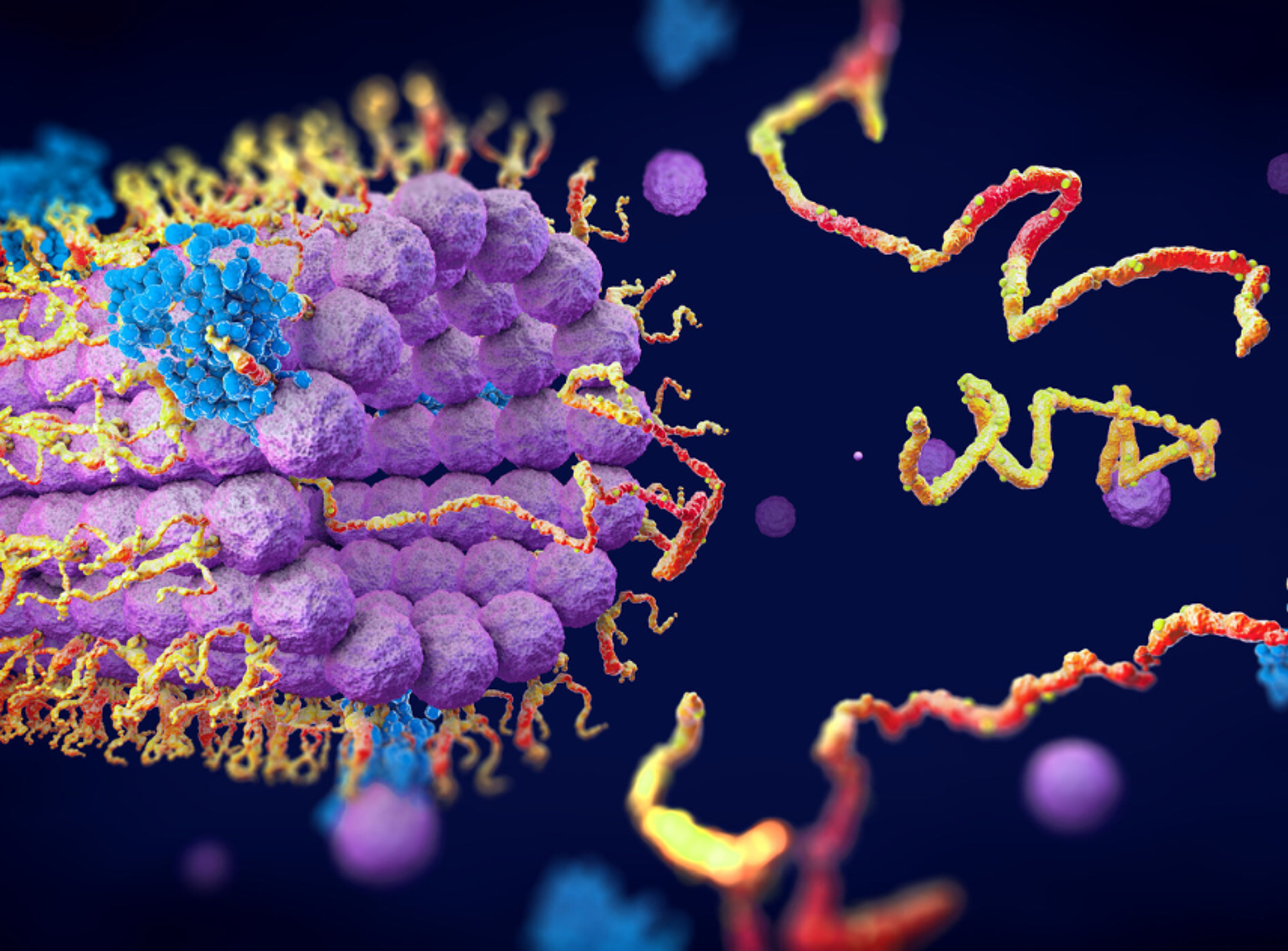 Unravelling the proteome