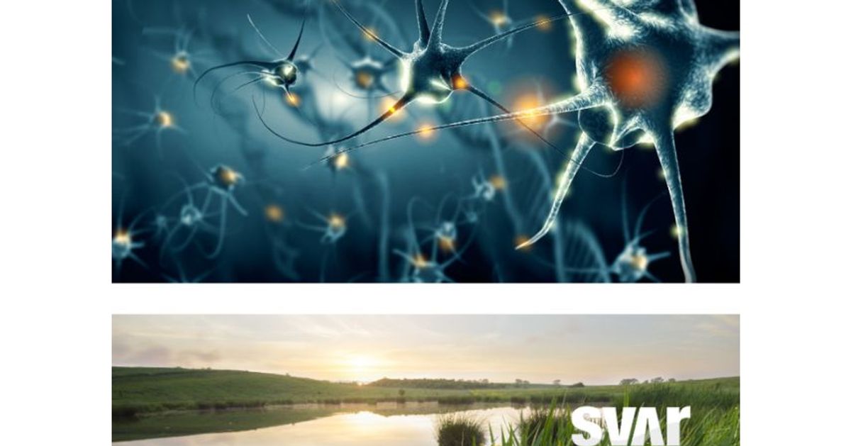 Neurological Diagnostics