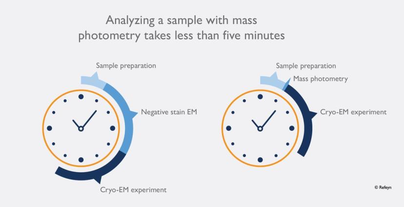 Graphic showing it takes much less time to analyze a sample with mass photometry (<5min) as compared to negative-stain EM (hours)