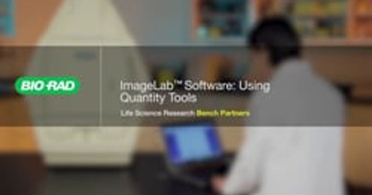 Image Lab Tutorials ImageLab Software: Using Quantity Tools