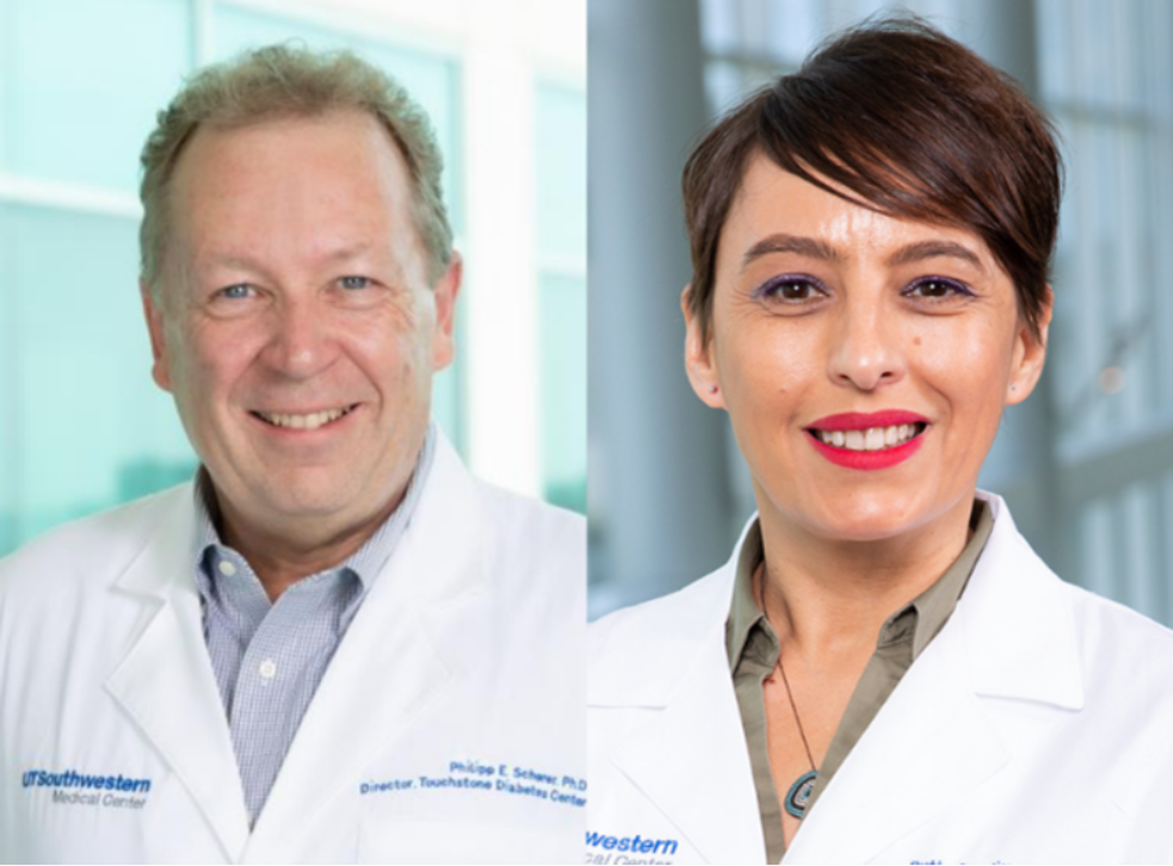 UT Southwestern Medical Center (UTSW), Prof. Philipp Scherer and Prof. Ruth Gordillo