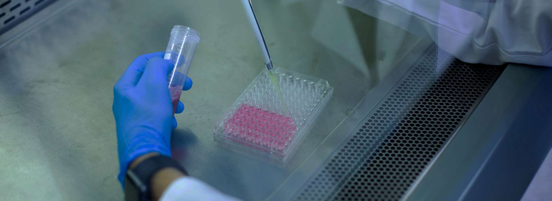 How to troubleshoot microplate assays and optimize detection