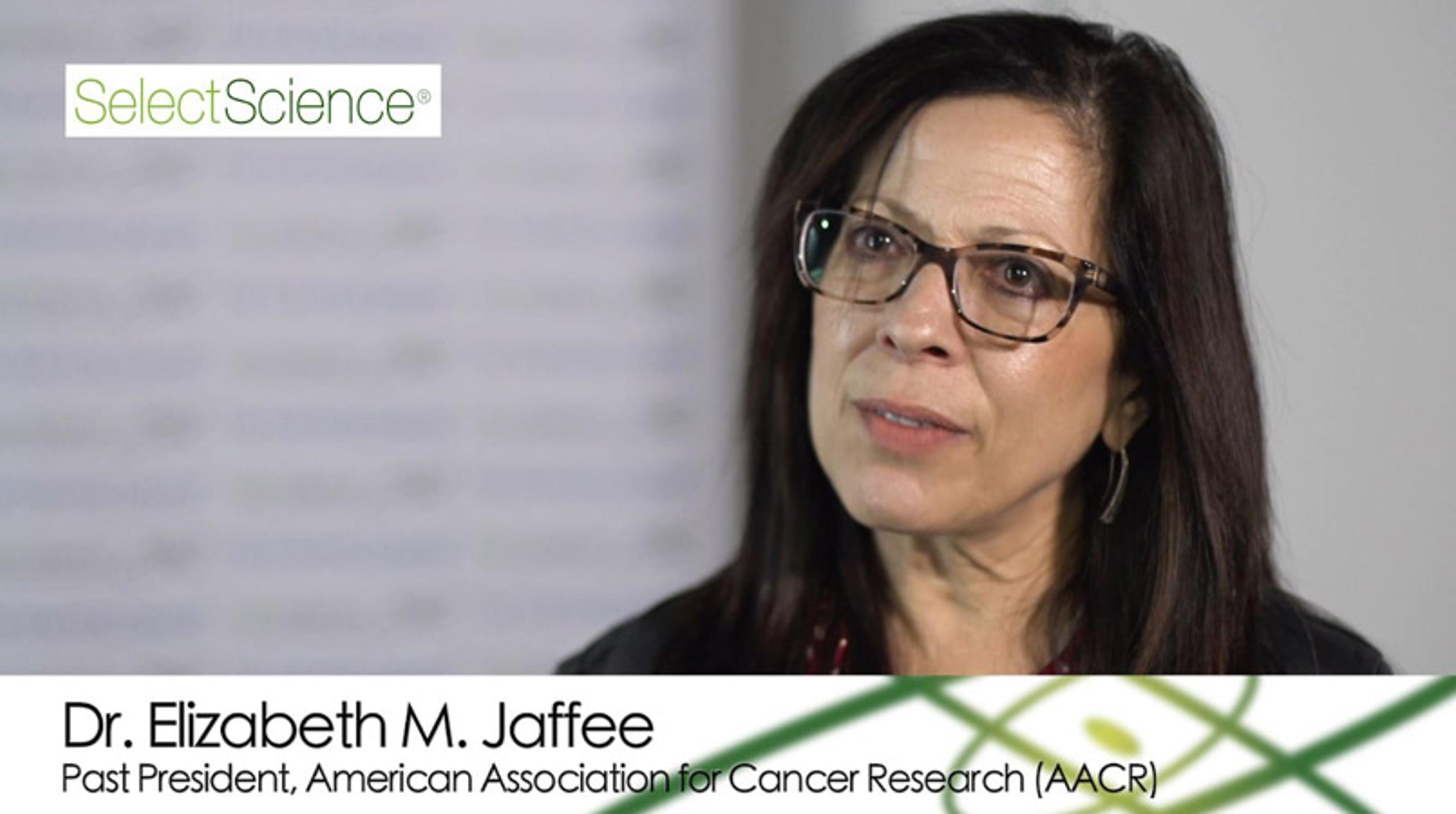 Dr. Elizabeth Jaffee Delivers Cancer Research Highlights from AACR 2019 Dr. Elizabeth Jaffee Delivers Cancer Research Highlights from AACR 2019