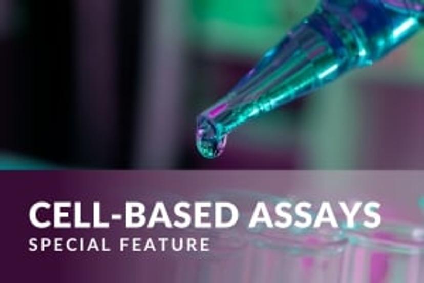 Cell-based assays SelectScience special feature