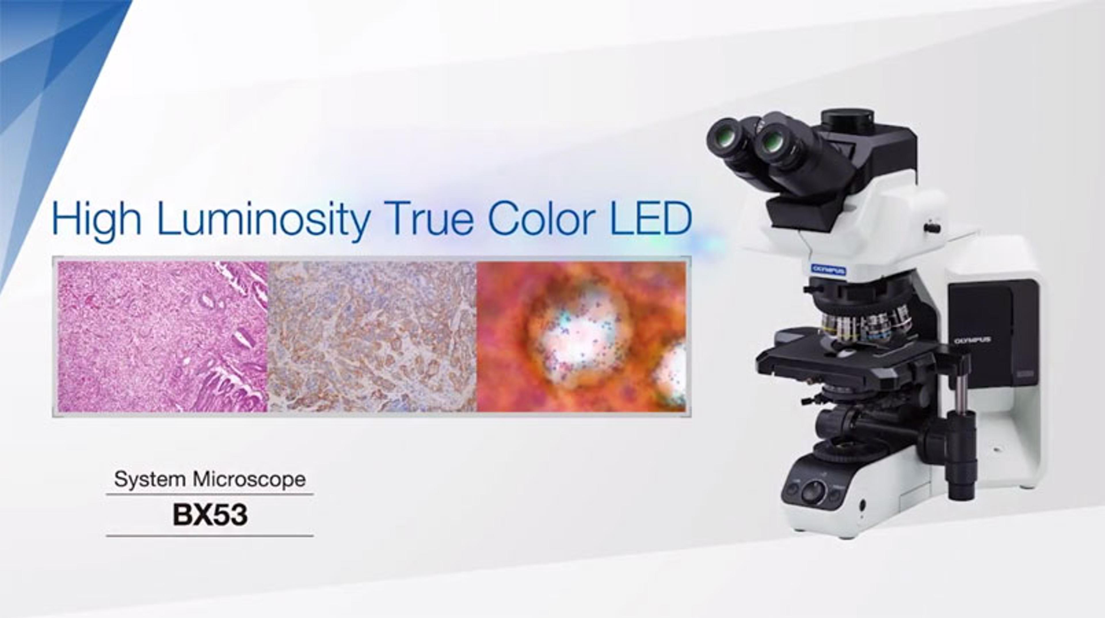 High Luminosity True Color LED High Luminosity True Color LED