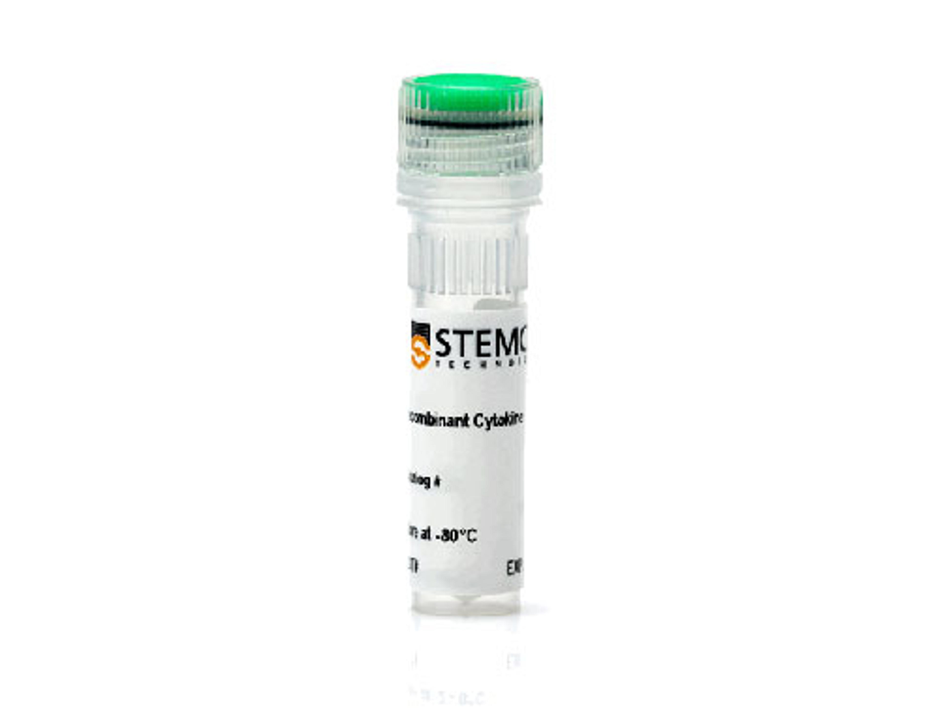 Human Recombinant Oncostatin M