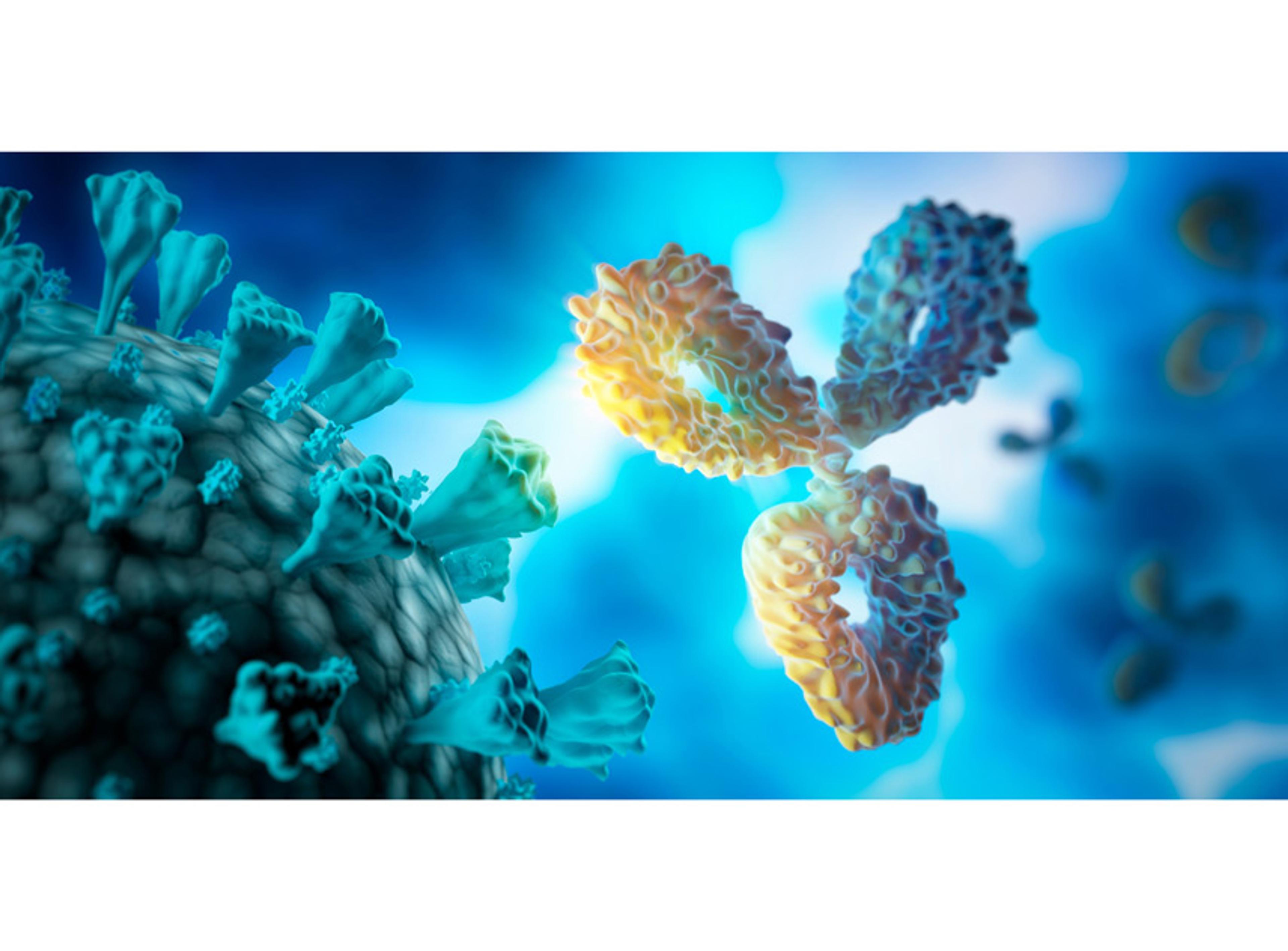 Diagnostic Antibody