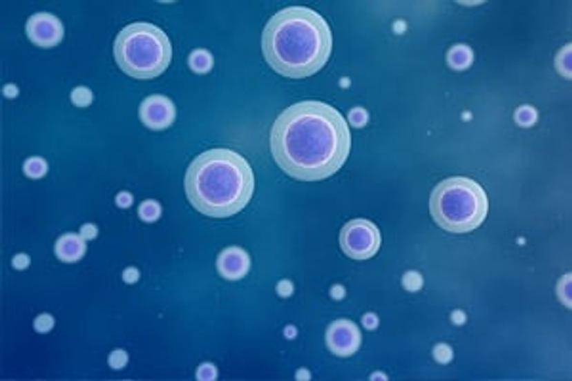 The spatial and functional heterogeneity of PDAC tumor sub-populations