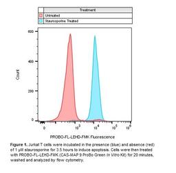 Apoptotic cells stained with CAS-MAP 9 apoptosis asssay