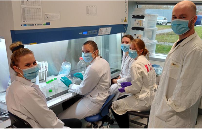 Photo of scientists in the Stensballe research group working in the lab