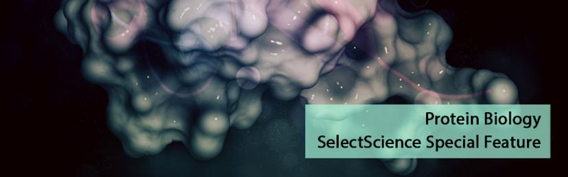 Protein Biology SelectScience Special Feature