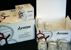 AxyPrep Multisource Genomic DNA Miniprep Kit