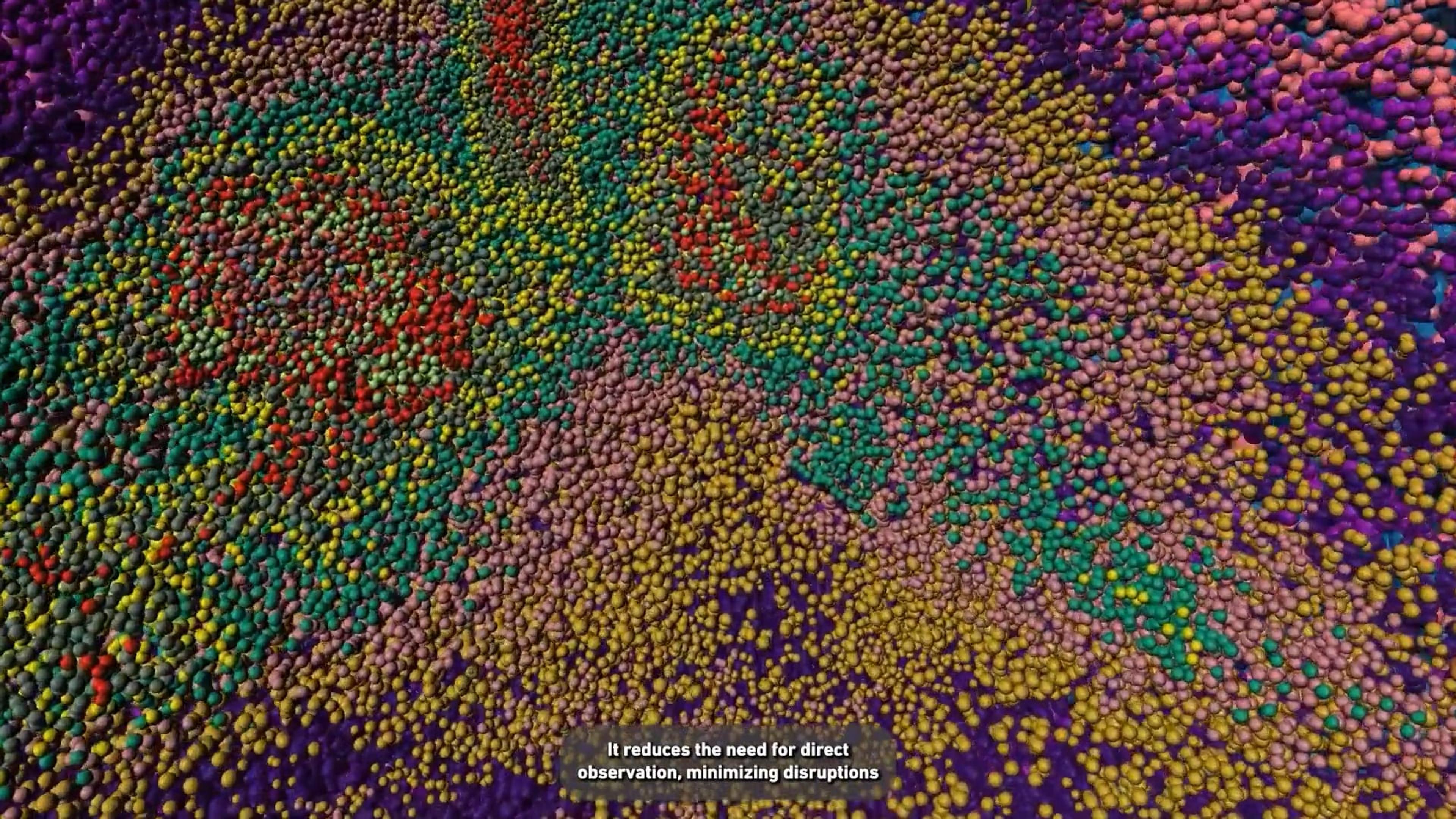 Revolutionizing animal model research with Envision Revolutionizing animal model research with Envision