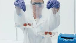 Seward Stomacher® 400 EVO Eco bags