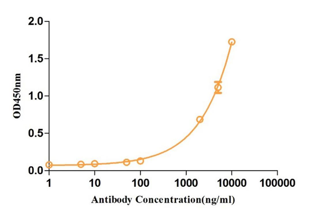 Anti-Human CD3 Recombinant Antibody (TAB-159)