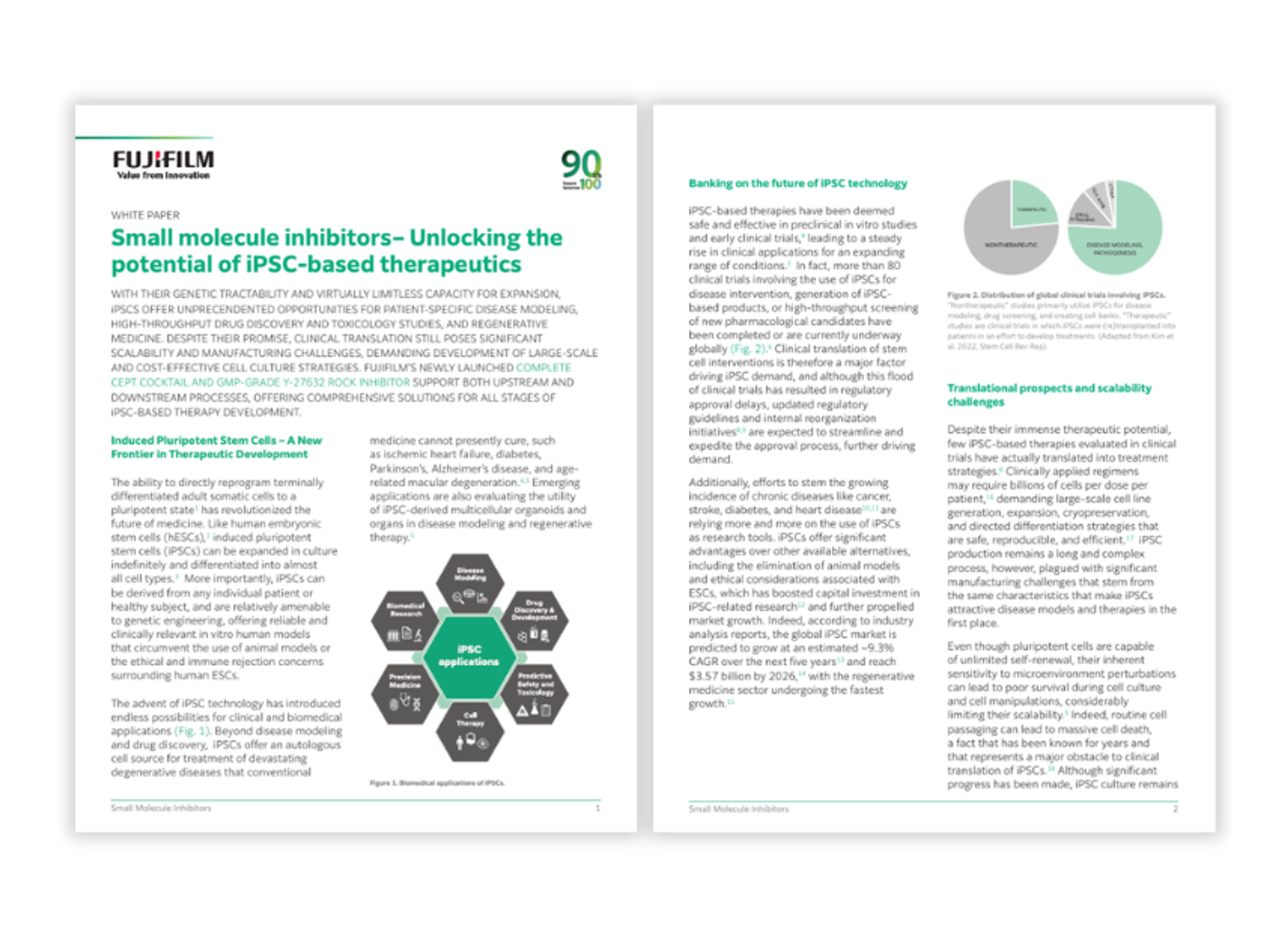 Stem cell culture and drug development using ROCK inhibitors and CEPT cocktail for improved cell viability