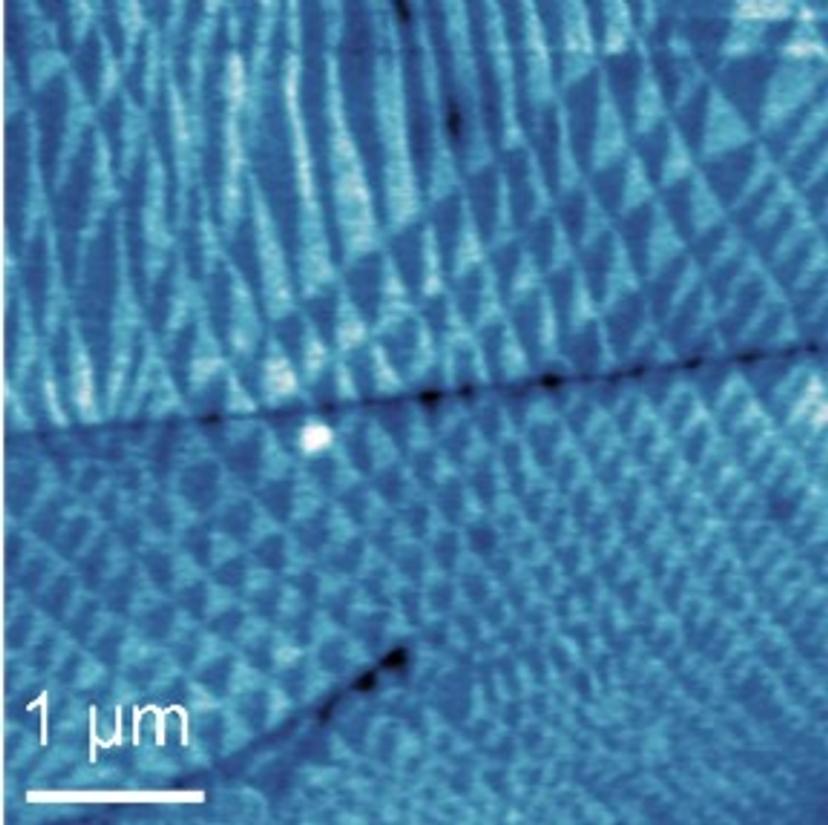 Atomic force microscopy