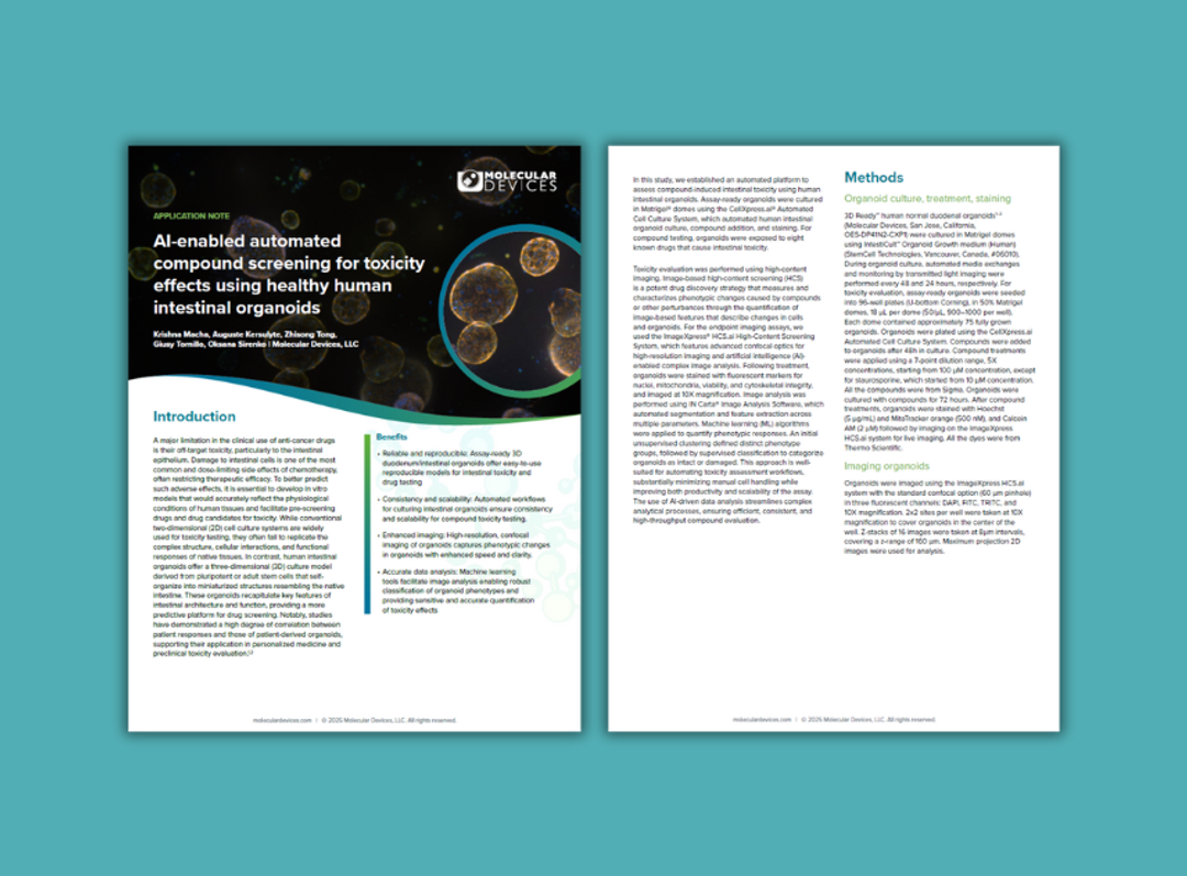 AI-enabled automated compound toxicity screening in human intestinal organoids