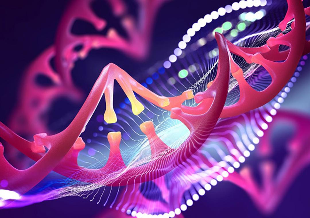 Genetic Engineering Model Development Services