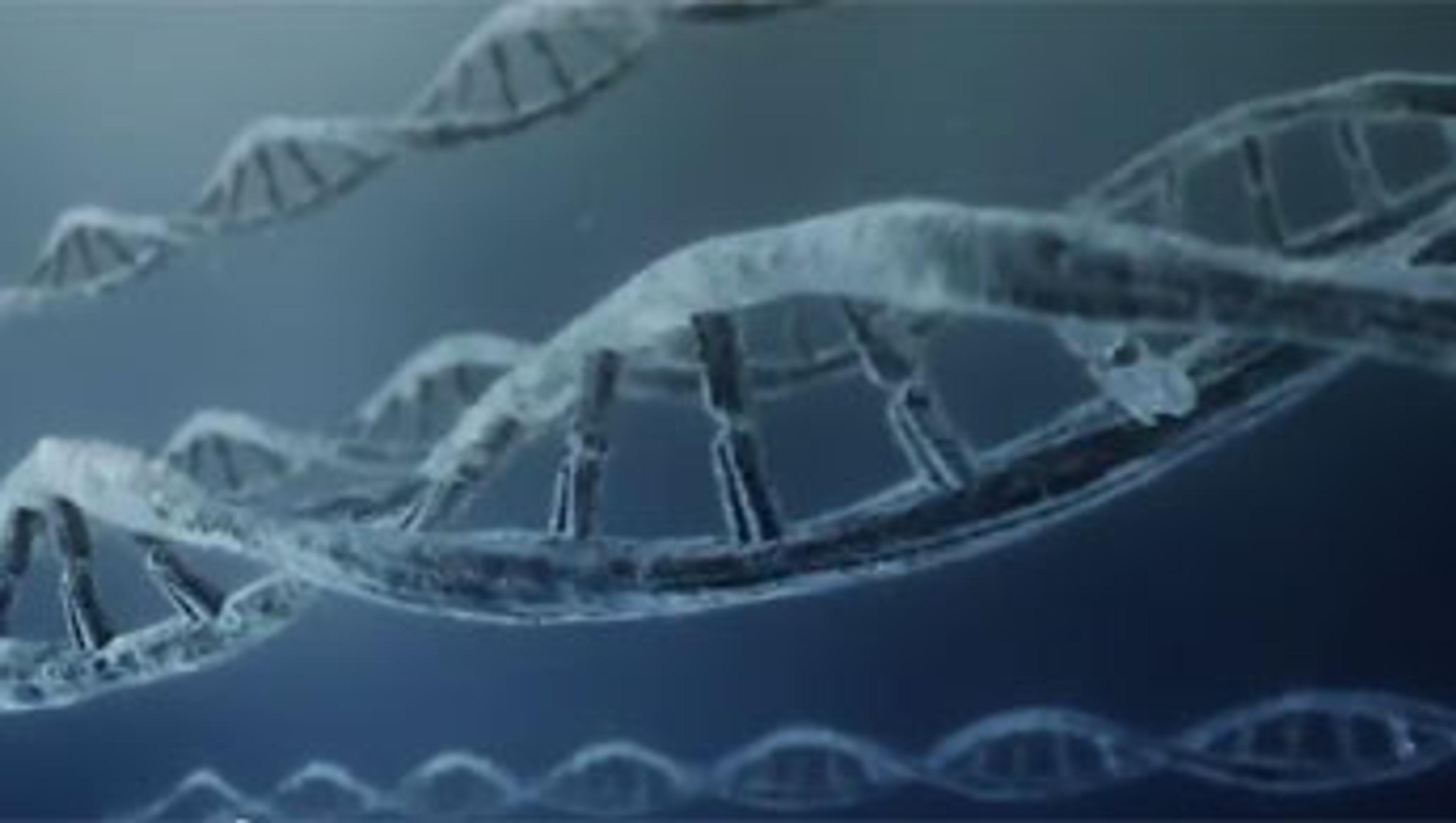 Watch EKF Molecular PointMan™ Technology in Action Watch EKF Molecular PointMan™ Technology in Action