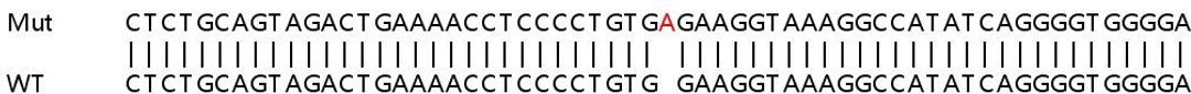 Sanger Seq - ATP2B4 knockout HeLa